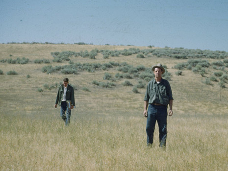 LeRoy & Grandpa in a Field