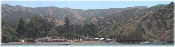 Toyon Bay Catalina